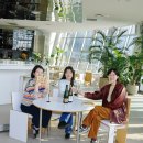 내 글도 에세이가 될 수 있을까 이미지