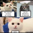 동경생포차 - 남동구 논현남로30번길 6 | 동경생포차