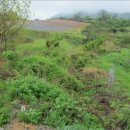 무주읍257 이미지