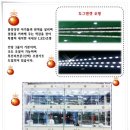 맹구와 땡칠이 이미지