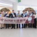 로컬마켓