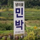냉이꽃 민박 이미지