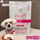 [양이의 하루템] 입 짧아진 양이의 최애사료 (유한양행 와이즈벳 알에이치)