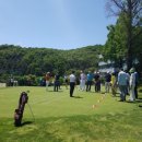 분당그린피아골프 이미지