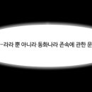 타래 이미지