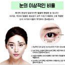 카이의원 이미지