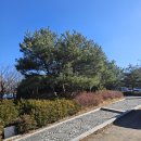 153포인츠부대찌개 | 고림동 153포인츠 부대찌개 용인본점 방문 후기