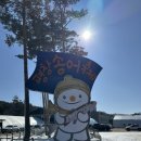 송어축제 | 평창송어축제 후기🐟