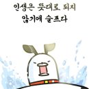 가야중앙체육관 이미지