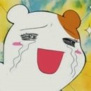 올리브데이 이미지