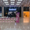 연제구-141 | 부산 청년 플랫폼 경제 영끌 클래스 1차 박곰희연금부자 강연 후기