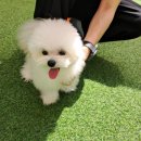 놀러오개(도화점) 이미지