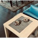 베테랑스크린골프 이미지