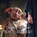 동촌아쿠아수영장 이미지