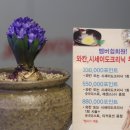 송이헤어샵 네이버블로그