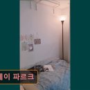 스테이파르크