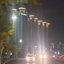 더 포레스트 이미지