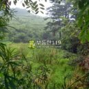 외리농장 이미지