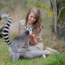 캥거루동물병원 이미지