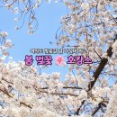 도야패밀리 | 켄싱턴호텔 여의도 벚꽃 데이트 서울 호캉스 추천