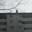 분당-265 이미지