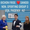 호야애견 이미지