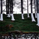 플라이미술학원 이미지