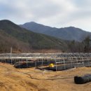 천천농장 이미지