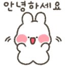 돌티미식당 이미지