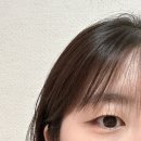 핑크뽑기방 | 안양속눈썹펌 ❛ 핑크레이디 ❜ 유지력 좋은 케라틴펌 무쌍 솔직 후기