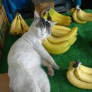 정원한의원 이미지