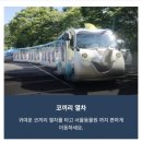 이마트24서울대공원원더파크점