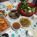 펫아일랜드2 이미지