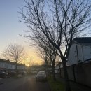 🇮🇪아일랜드 6일차🇮🇪 한식당, 국립박물관, 피로가 사라지지 않는다.