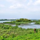 안성천 쉼터 이미지