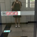 소새울유치원 | 0804~0810