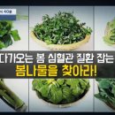 김흥농장 네이버블로그