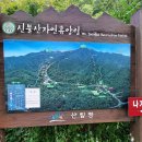 영 농장 이미지