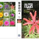 들꽃편지 이미지