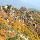 대영정기 이미지