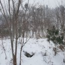 우산농장 이미지