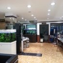 라데팡스 안경 이미지