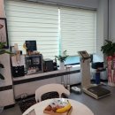 웰니스피티스튜디오 이미지