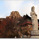 금산-01 이미지