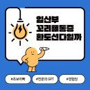 환도약국 | 임산부 꼬리뼈 통증, 혹시 환도선다 통증일까?