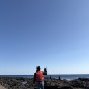 우도동굴 | 우도 여행 필수 코스 우도동굴보트 리얼 후기
