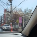 달서미즈맘병원 | 임신준비 신혼부부 산전검사 후기 ( 대구 달서미즈맘병원)