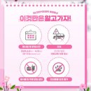 인천 SK석유화학 벚꽃 개방 주차 개화실시간 솔직후기
