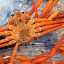 후포식자재마트 이미지