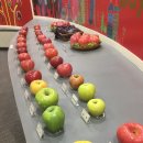 거창사과테마파크 전시실 이미지